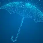 Cyber insurance: What SMEs need to know