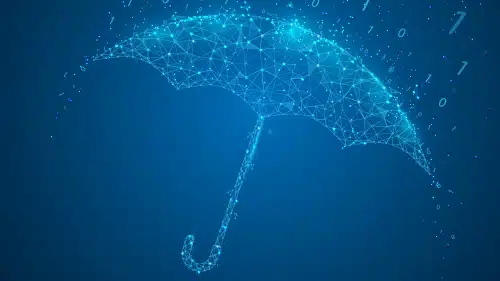 Cyber insurance: What SMEs need to know