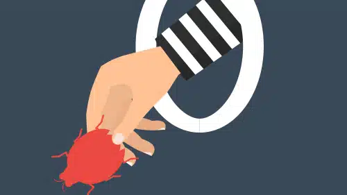 The Dangers of Zero-Day Exploits