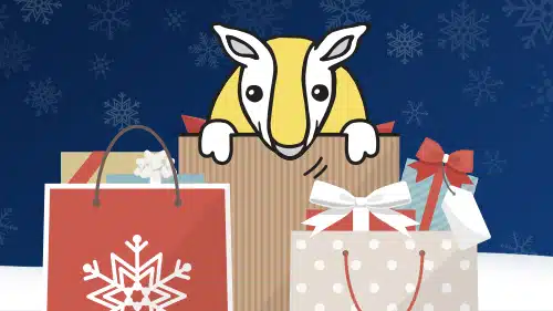 Top cyber tips to help you stay vigilant over the holiday shopping season