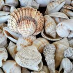 Threat Spotlight: Webshells and why cybercriminals love them.