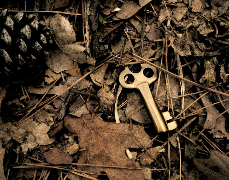 Security through Obscurity: When secrecy alone is not enough (Part 2 of 2)