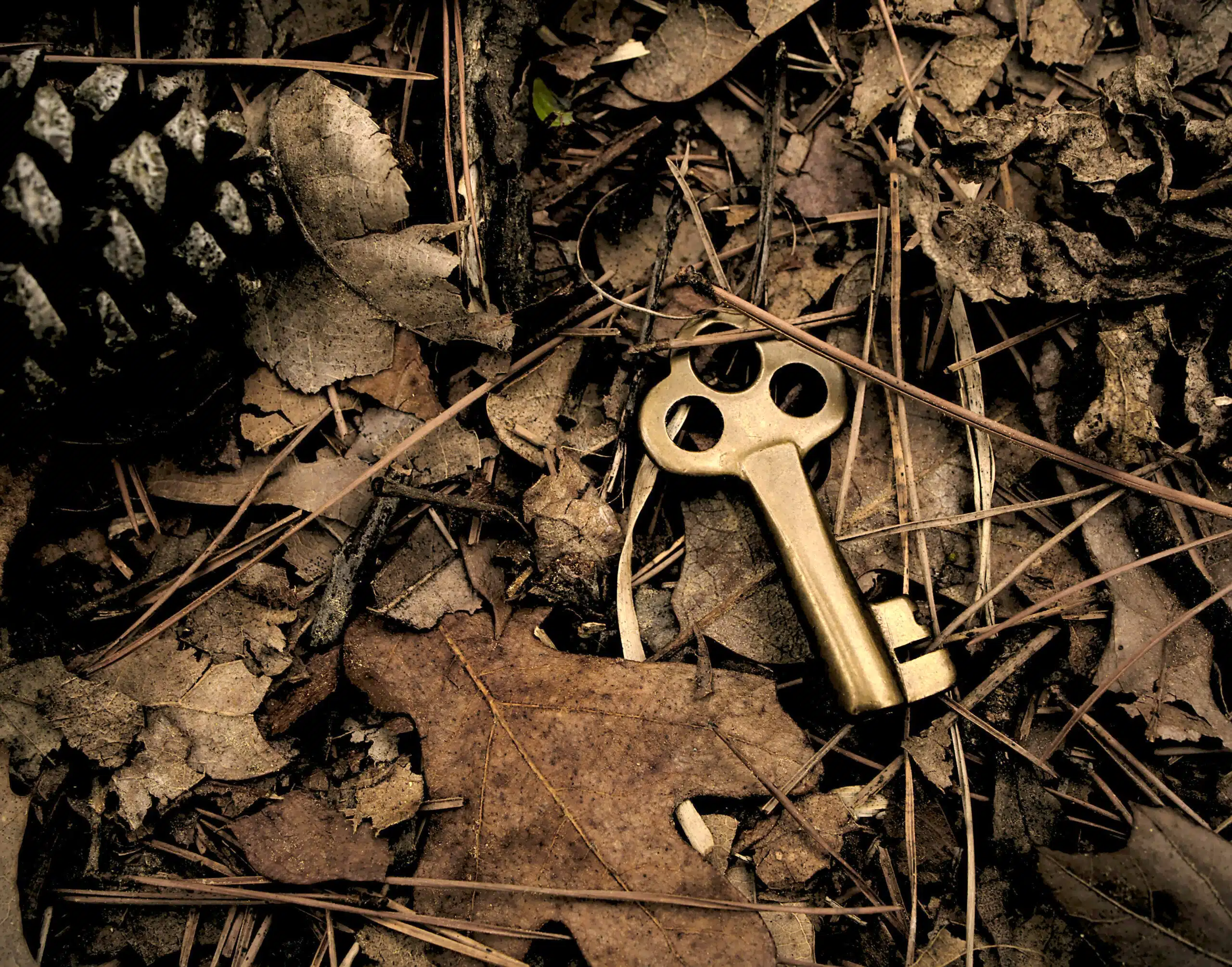 Security through Obscurity: When secrecy alone is not enough (Part 2 of 2)