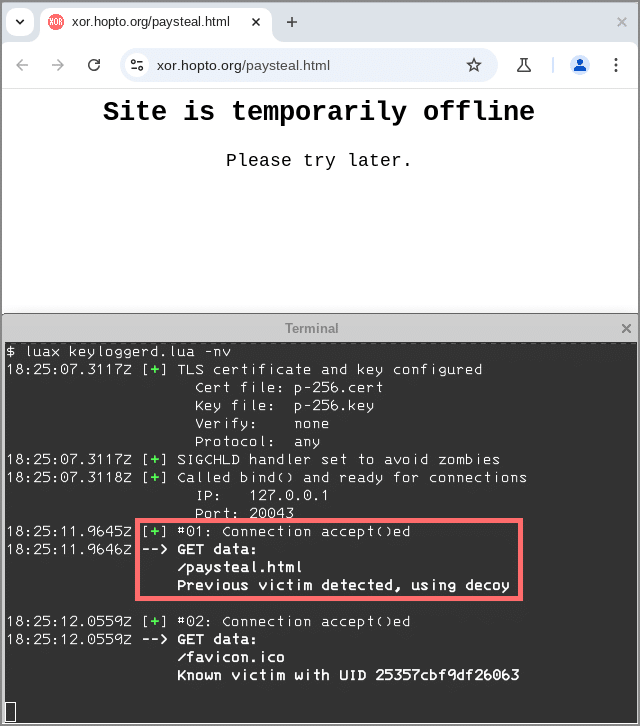 Phishing protection: Is it ever safe just to take a look? - SolCyber