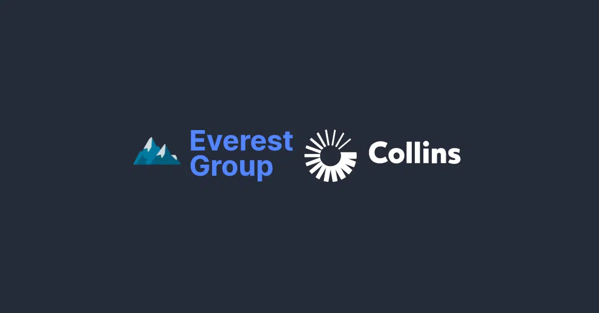 Collins vs. Everest: Criminal gang taunts airport software victim