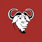 Now THAT’S what you call a bug! Root with no password…