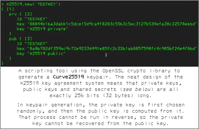 Critical buffer overflow bug - in ESXi ransomware - SolCyber