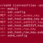Linux key-stealer PoC is out: Patch if you can!